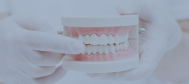 歯周外科治療歯周組織再生療法