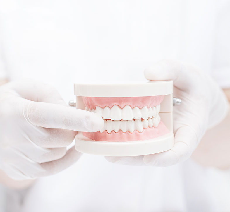 歯周外科治療歯周組織再生療法